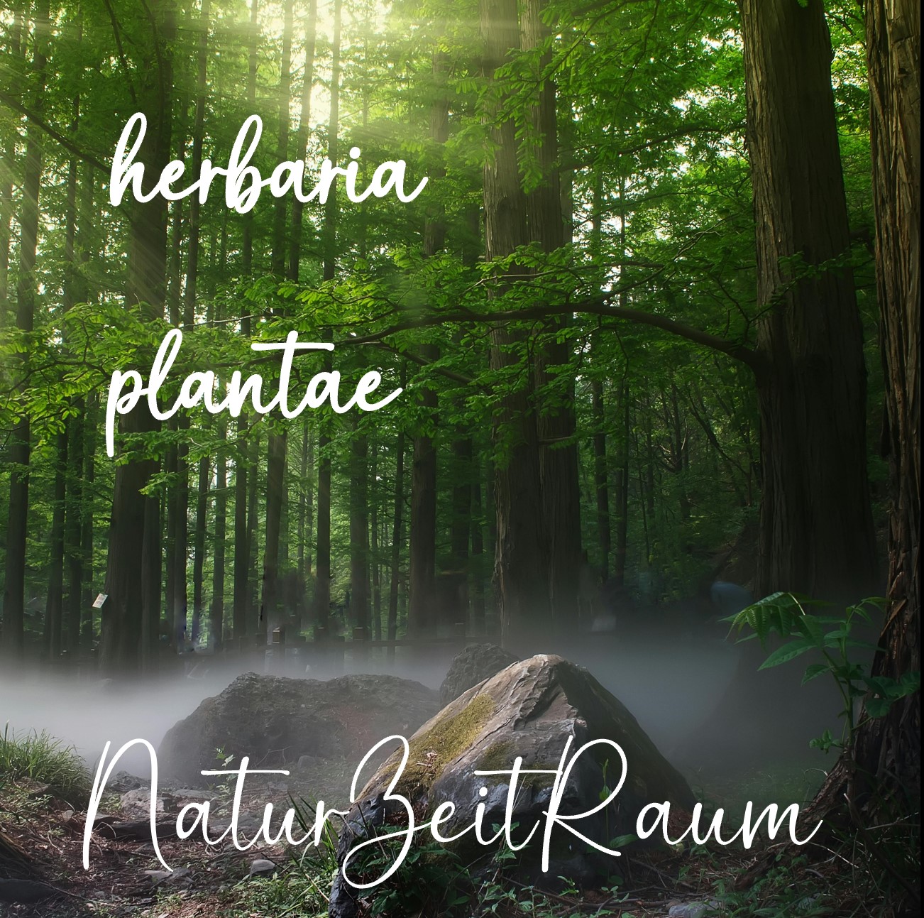 herbaria plantae – naturzeitraum