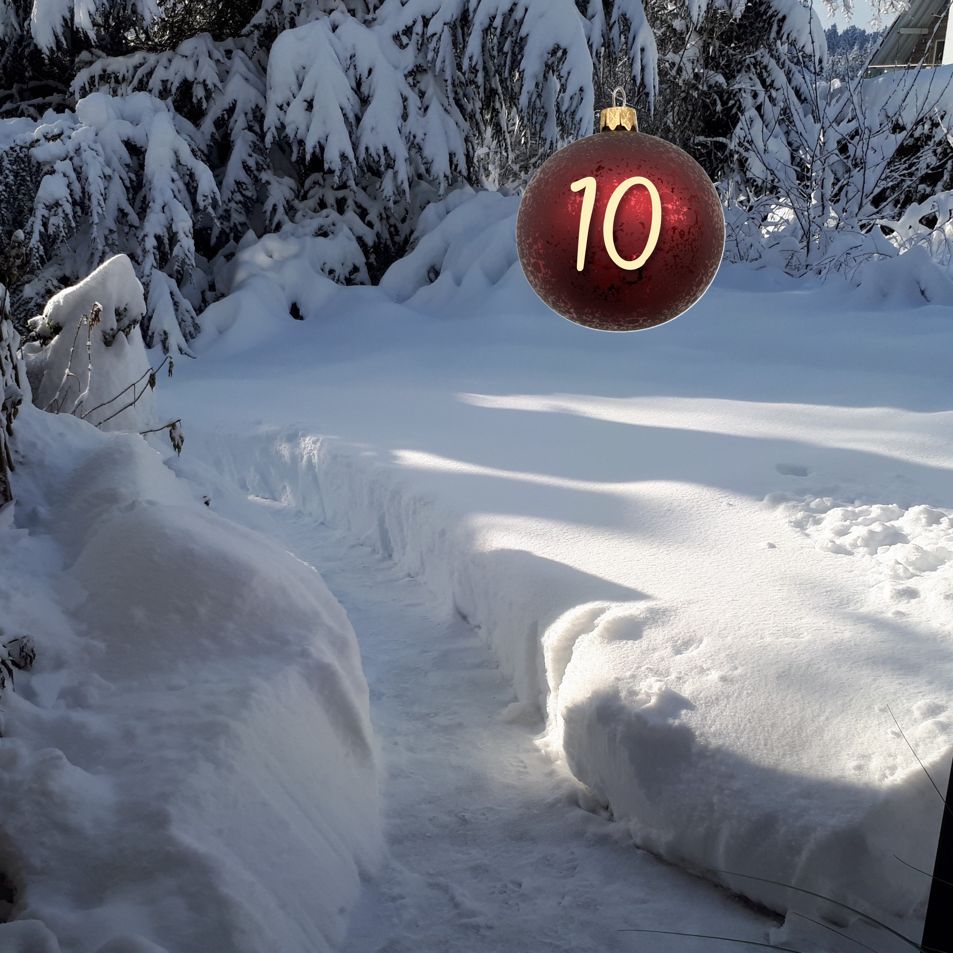 Winter ist so viel mehr als Kälte und Dunkelheit…