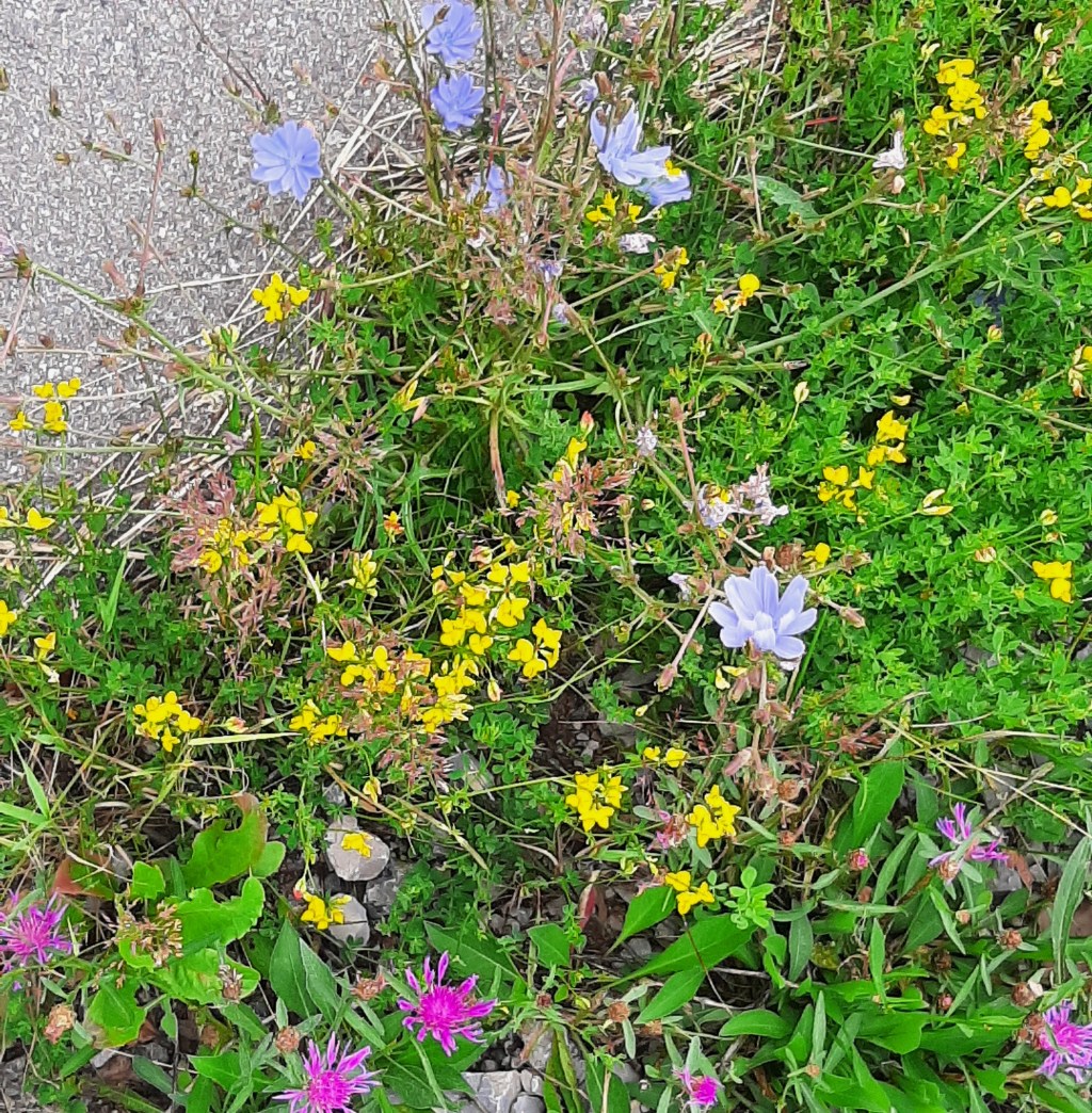 Unordnung kann Reichtum sein