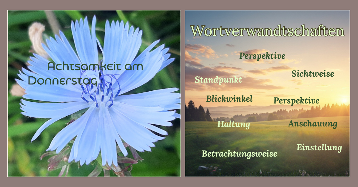 Wortverwandtschaften