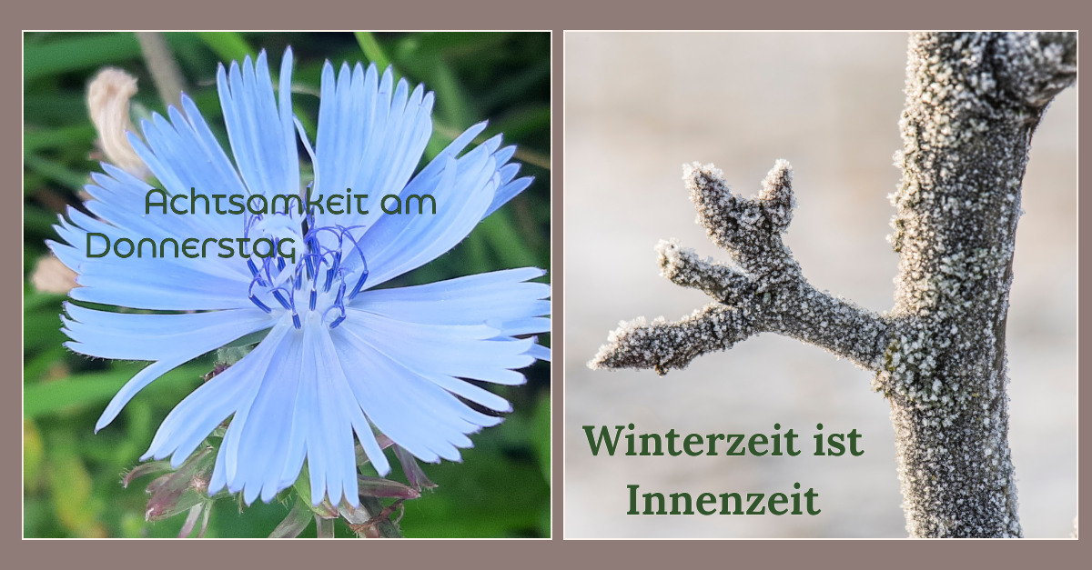 Winterzeit ist Innenzeit