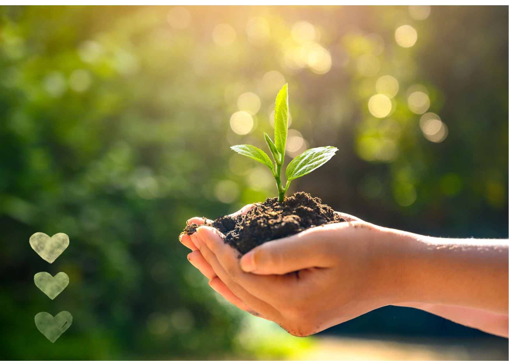 Wenn ich das Neue wäre… 🌱